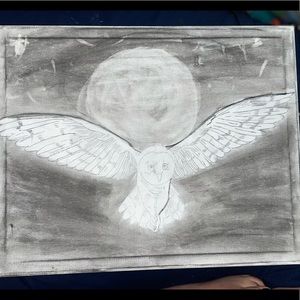 Night flight is a charcoal drawing